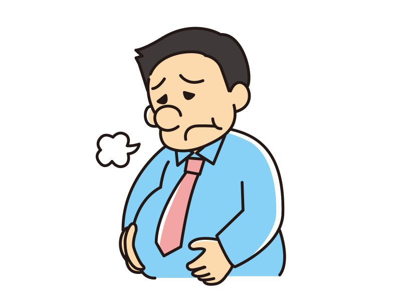 消化器系~栄養を吸収し、蓄え、排泄する